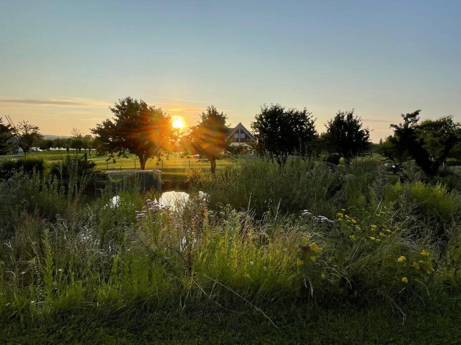 Villa Des Vergers Le Conihout du Mesnil Exteriér fotografie